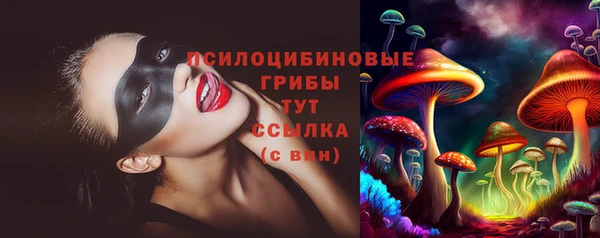 сатива Краснослободск