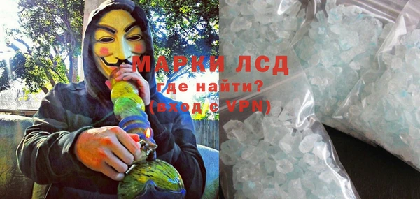 сатива Краснослободск