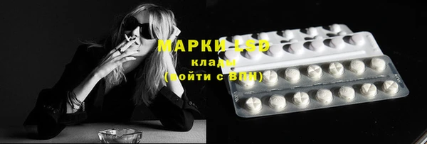 мяу мяу мука Усмань