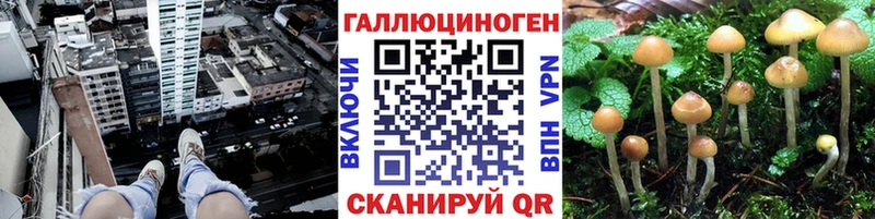 Галлюциногенные грибы мицелий Могоча