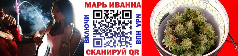 Купить где Могоча МАРИХУАНА сатива